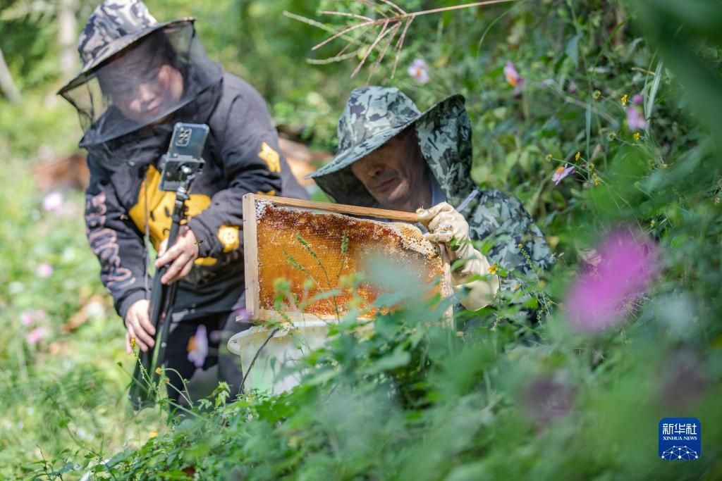 汇丰国际开户送58